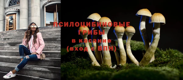 герыч Алзамай
