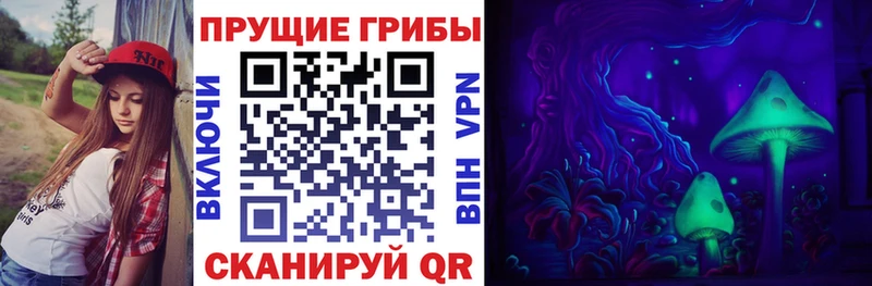Псилоцибиновые грибы прущие грибы  shop телеграм  Искитим 